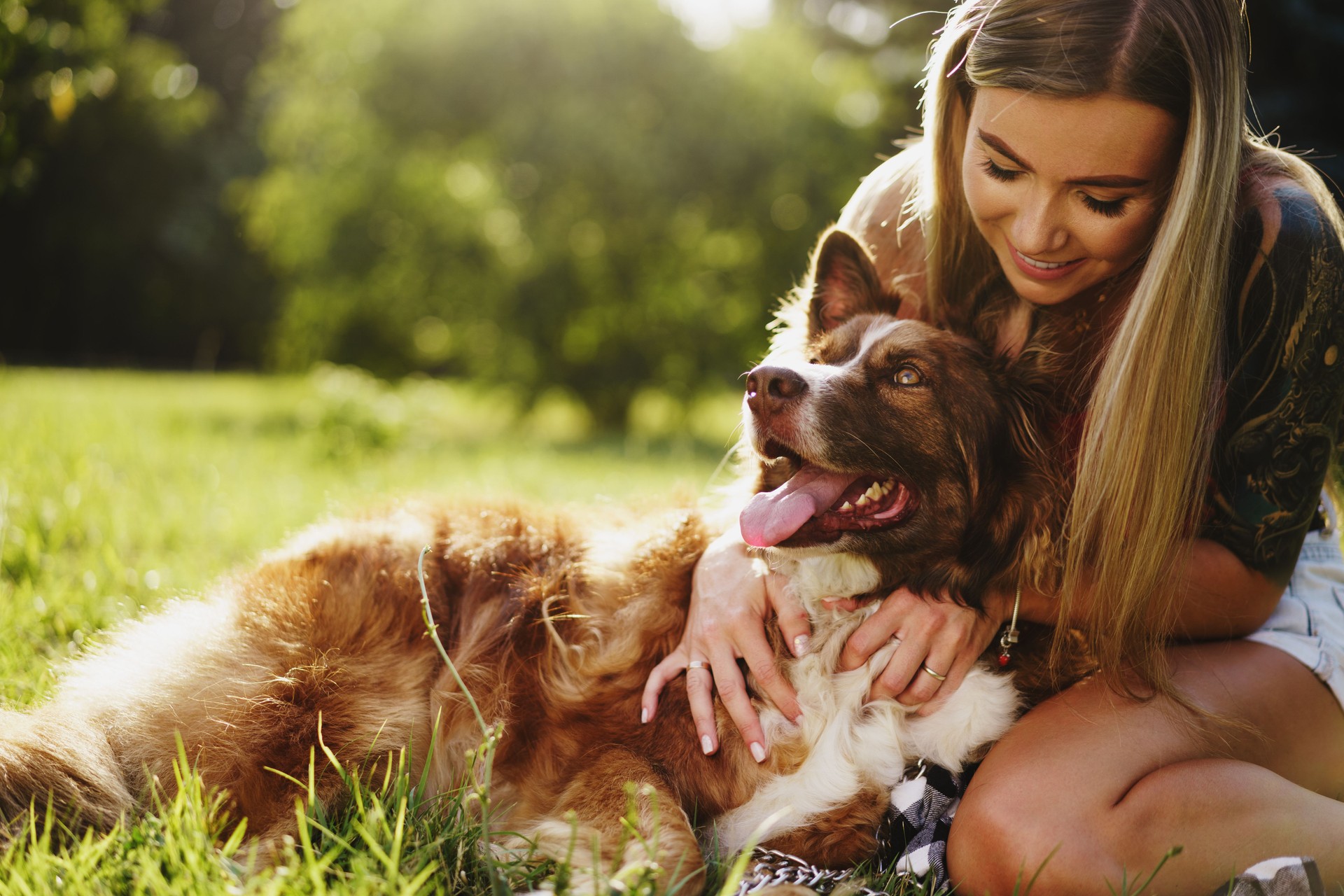 Young beautiful woman petting her cute dog in park